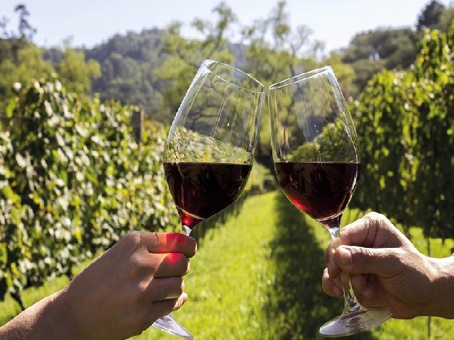 Rota Do Vinho