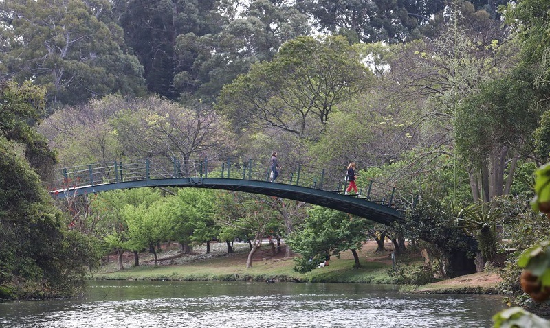 Turismo Nas Capitais Parque Do Ibirapuera Sao Paulo