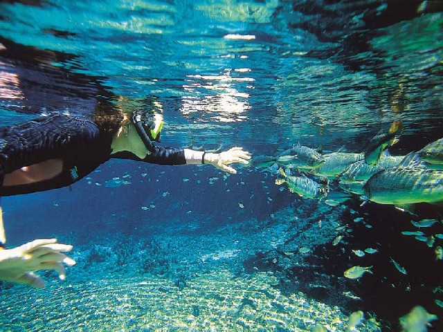 7 Destinos Para Snorkel No Brasil