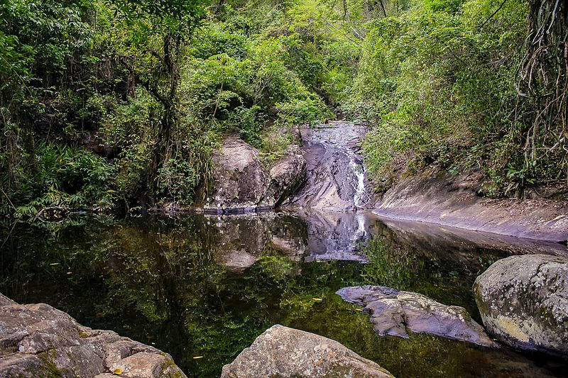 Cachoeira No Horto Rio De Janeiro