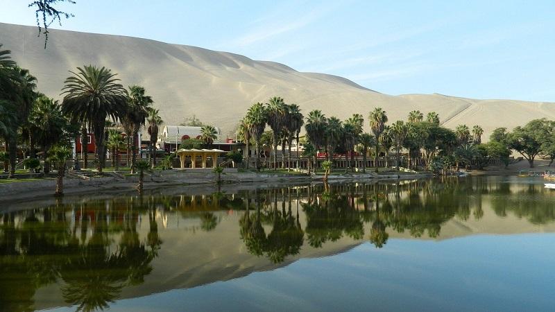 Oasis Huacachina Ica Peru