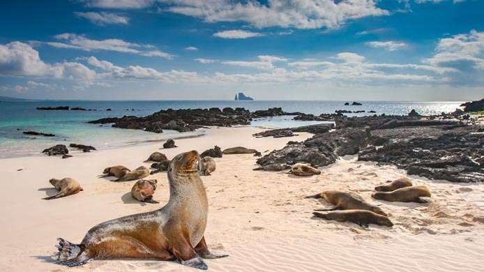 Galápagos