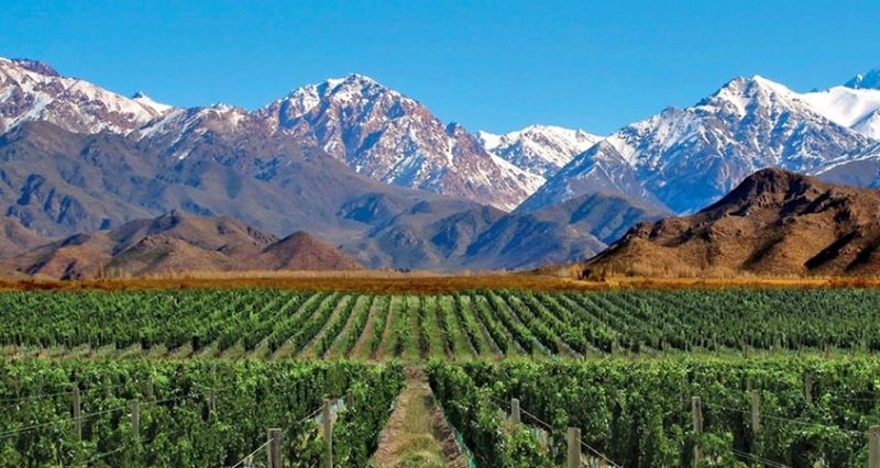 Mendoza