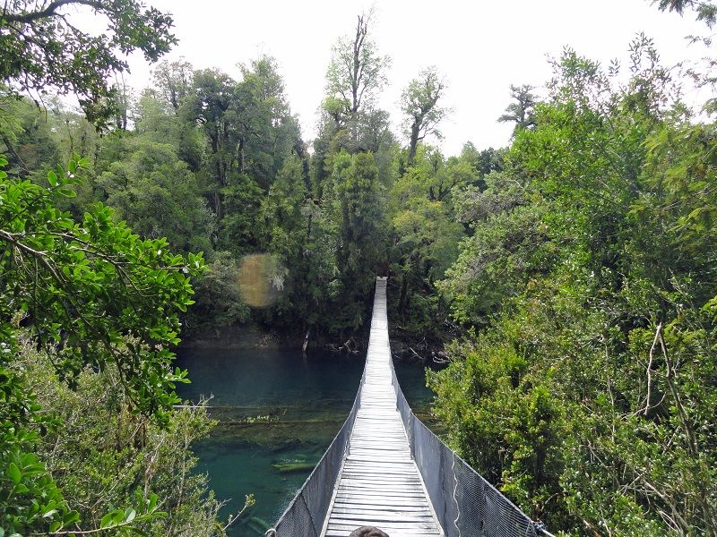 Puente Colgante Huilo Huilo