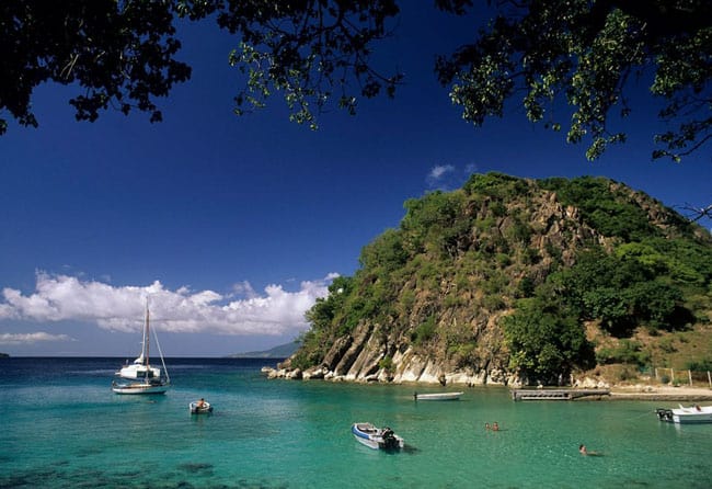 Ilha De Guadalupe