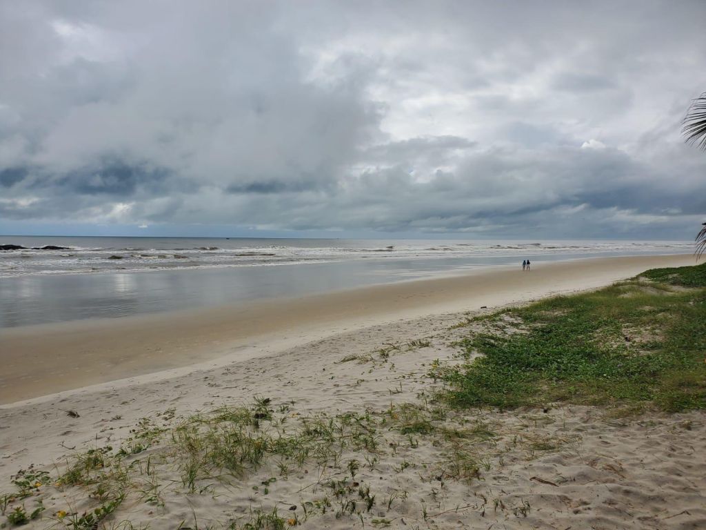 Vista Da Praia De Ilheus Bahia