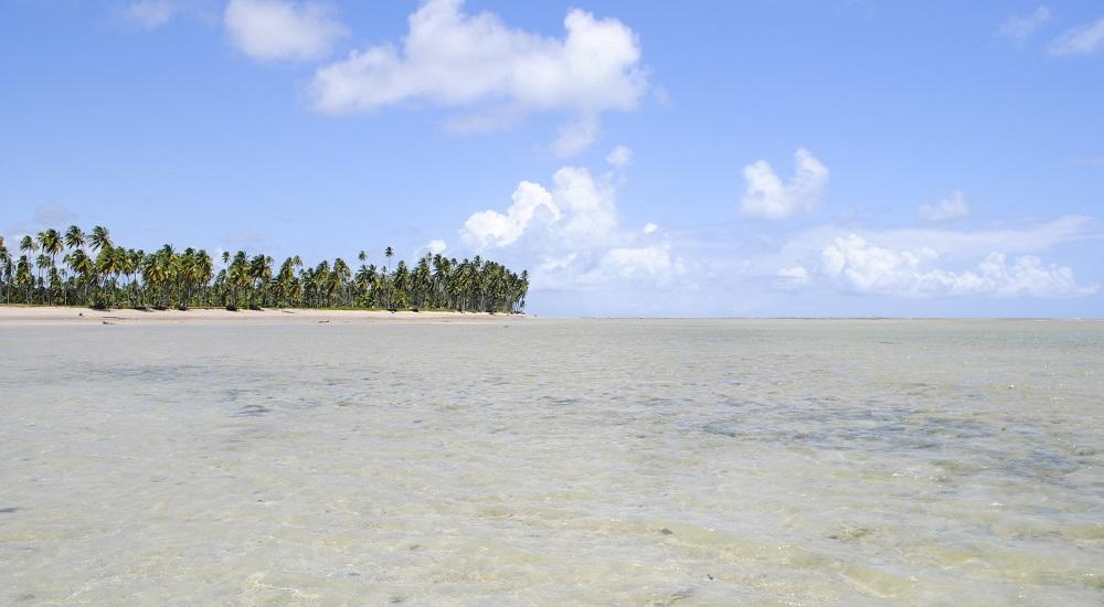 Praia Do Patacho Alagoas (1)