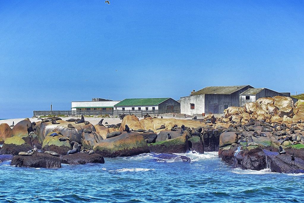 Isla De Lobos