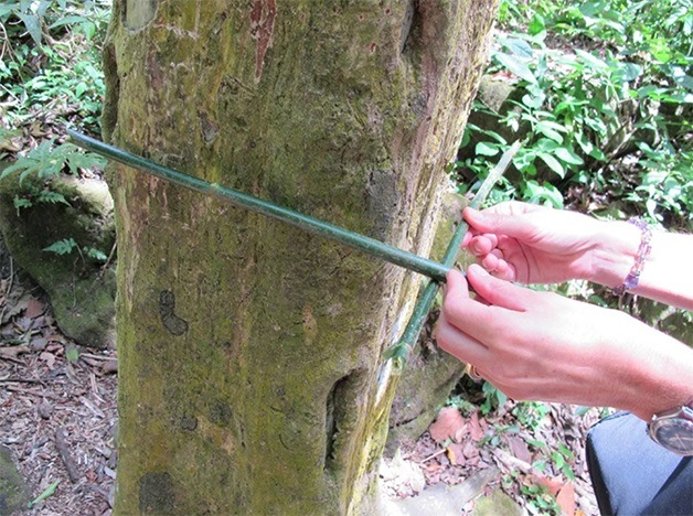 Experimentos Comprovaram Que O Formatoquadrado E Efeito Do Ambiente Do Vale Do Anton